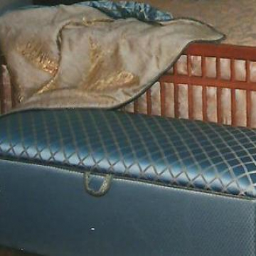Custom Upholstered Trunk and Throw