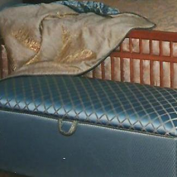 Custom Upholstered Trunk and Throw